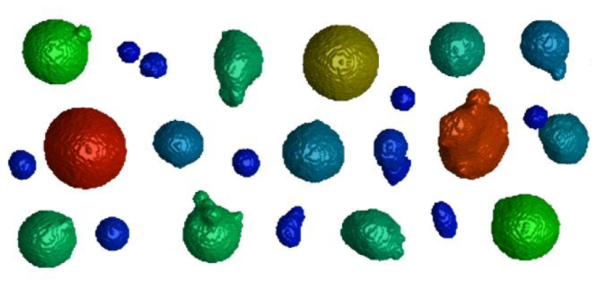 De-risk assessment: Powder Characterization