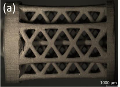 De-risk assessment: Lithographic Manufacturing of Monolithic Ceramics for Stable Structures in Space