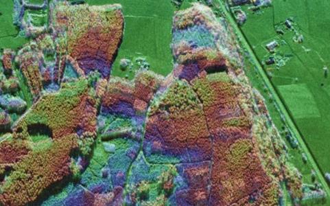 Information Content of Multi-Spectral POLINSAR Data