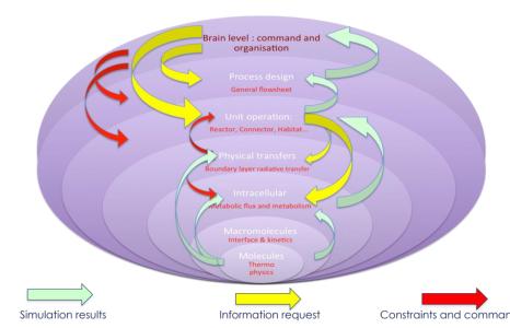 Model Based Cybernetics Software for the control of complex systems