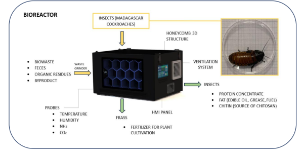 An insect bioreactor for increased circularization of ECLSS economy (ECLSS Insect Bioreactor)