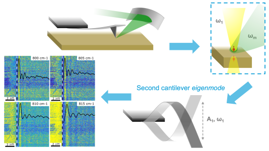 Dark optical nano-spectroscopy in the visible and near-IR spectrum