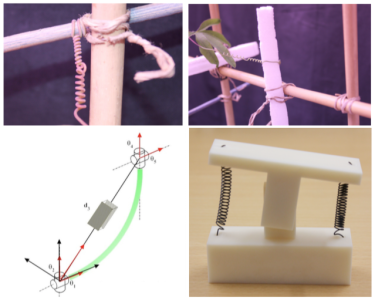 Mimicking the thigmotropic behaviour of climbing plants to design a tactile-based grasping device for the space environment
