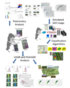 Change detection using Interferometric an d Polarimetric signatures in Argentina