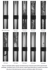 Experimental characterisation of transient flow phenomena in cryogenic Fluids