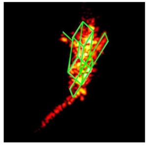 Debris Attitude Motion Measurements and Modelling